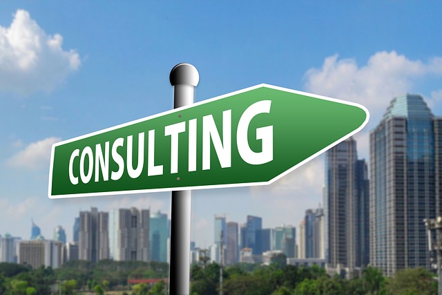 Consultancy Services